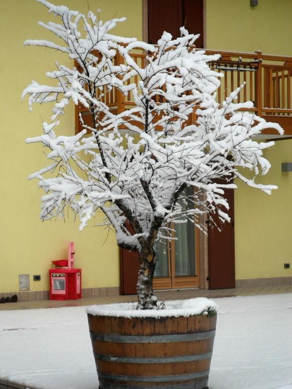 Agritur Ai Masi Villa Pergolese Eksteriør billede