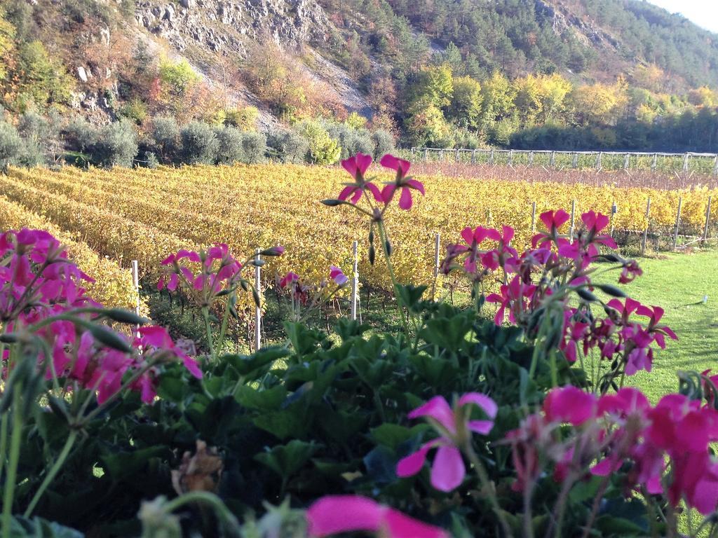 Agritur Ai Masi Villa Pergolese Eksteriør billede