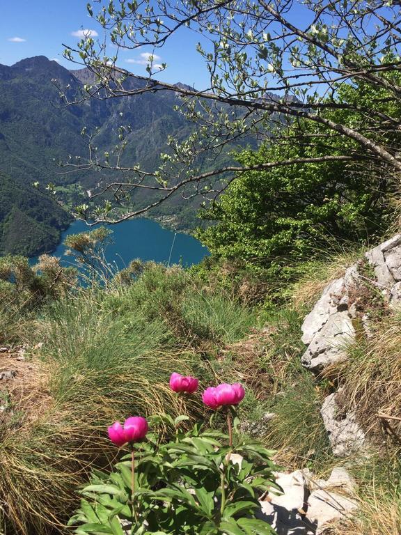 Agritur Ai Masi Villa Pergolese Eksteriør billede